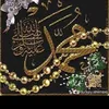 turkey.shirnaxi