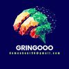 gringooo_1