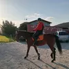 ignaciosantamaria23