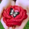 ibowonlytomycreator