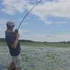 basser8806