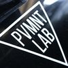 pvmnt_lab