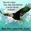 celsorodrigues413