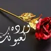 khadija_00_3