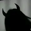 mich_darling