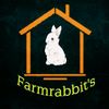 farmrabbits