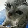 callmeicall_