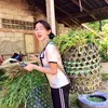 tiger_nookaew