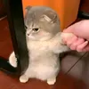 vinnz_matchaa