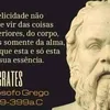 user524642299