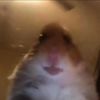 zayde_palacios1