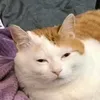 alexndrvasil