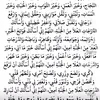 1shadyar
