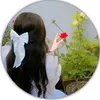 ss_p504