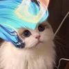 userjbwt7s81me