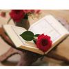 .rima123