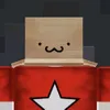 sillyboxhead.4eva