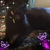celiahurding
