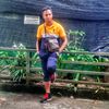 zn97comel