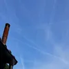 knutknappedr