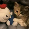 pocketsizedcookies