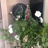 escrowman