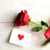 fatimafatima44gmail.com