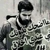 user313711331