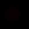 sneijder_fex