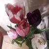 123_321ann