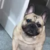 shaun7999