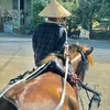 charlotte_linlin_125292