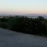 meliunicorn5