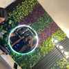sofi_aaa3