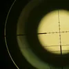 thelastsaf