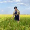 loan66h1
