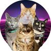 cruzncats