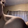 anthonymohr1