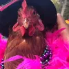 galinhagabriella