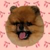 chibithepom