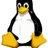 chilledpenguin1