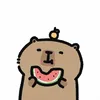 nhatnewss