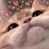 kimxuann68