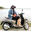 rarasagita30