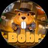 bobr_bober