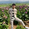 nattafatansyah