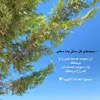 hawraa_almaliki6