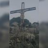 roybader_20