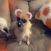 funnyandcuteanimals16