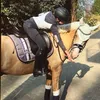 fairy.equestrian